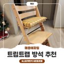 파밀 | 스토케트립트랩방석, 메종에파밀 방수쿠션 활용기