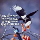 메세지 이미지