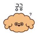 파이닥터