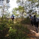 판문동-1 이미지