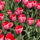 안산마디튼튼의원 이미지