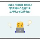 [HD] SQL개발자 (SQLD) 자격증 따기 Part.1 시험안내 및 SQL Developer 설치 및 사용 | SQLD자격증 아이티동스쿨에서 한 번에 준비하는 합격 패키지 정리해봤어요