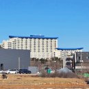 오시기식당 | 쏠비치 삼척 맛집 오시기식당 가족여행 점심 후기