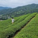 모다다원 이미지