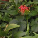 제비농장 이미지