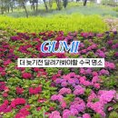 구미 다온숲화장실 이미지