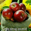 행우리 이미지