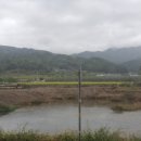 은풍면금곡1리경로당 티스토리