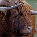 고기익는마을 이미지