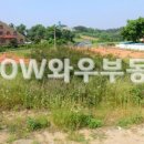 대산주유소 이미지