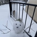 아산스테이 이미지