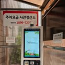 양평펜션 장볼만한곳[용문 농협 하나로마트]내돈내산 연어회 오징어회 양평 생막걸리 솔직후기