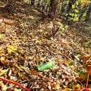 남도약수터 이미지