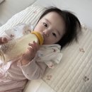배블리 이미지