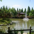 경상남도 산림환경연구원 Daum카페