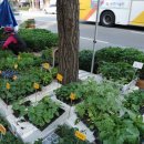 순창전통시장 터미널 이미지