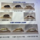 와플라이 이미지