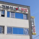 거북이 몰 이미지