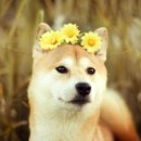 경환농장 이미지