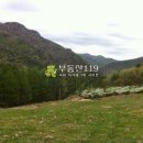 대불리목장 이미지