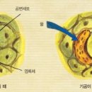 우리 역사교실 이미지