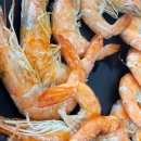 만선민박2 이미지