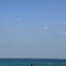 월정온누리약국 이미지