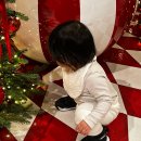 니어바이닥터 | 2024/-12월14일