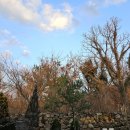 조천스테이 이미지