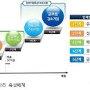 티엔에스식품 이미지