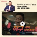 알리 쿠키뉴스