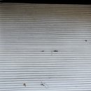 혼다카센타 이미지