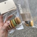 초리 포레스트 이미지