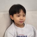 마일로헤어 네이버블로그