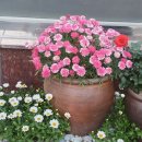 김여사공인중개사사무소 이미지