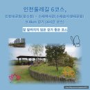 인천대공원(다목적광장) 이미지