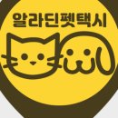 가자 펫택시 이미지