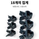 크립토마토 이미지
