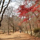 정읍휴게소(상) | 내장산 등산 코스 정리 │ 불출봉·서래봉 초보자 탐방 후기