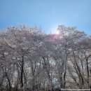 오류공원 | 오늘의 핫플 | "대전테미문학관", 테미공원에 새로운 공간이 생기다. [핫플추천/대전핫플/후기]