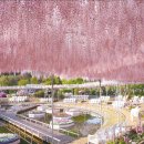 현플라워 이미지