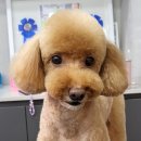 쓰다드멍 이미지