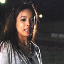 퍼펙트독 이미지