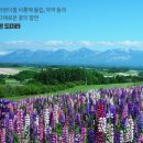 시원한나라 이미지