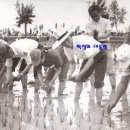 장승중학교 이미지