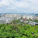 달서구청 좌측 이미지