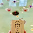 오브제 애월 | 애월 맛집 카페 목욕탕 안개 컨셉 제주 서쪽 애견동반 가볼만한곳 해화탕