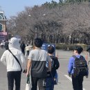 대남전원어린이공원 | 대한미르 수련생들과 함께한 대구 이월드 봄소풍 🌸