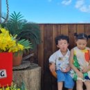 트래블지2 이미지