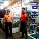 남일수산